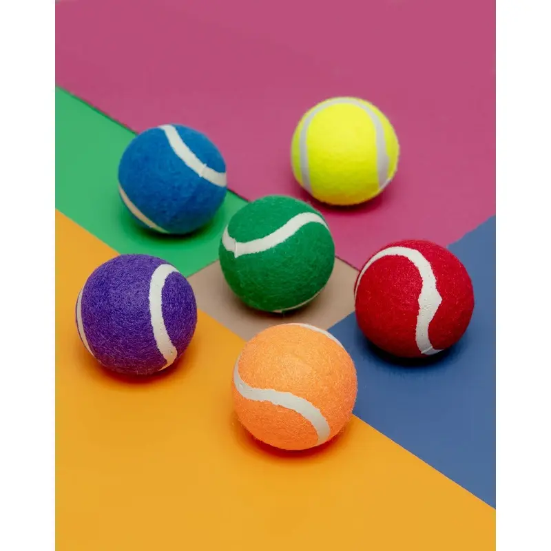 Puppy Pride Tennis Balls - (Set of 6)