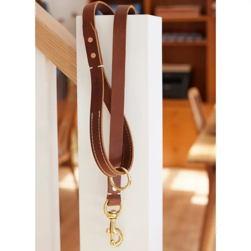 Rambler Standard Dog Leash in Terra