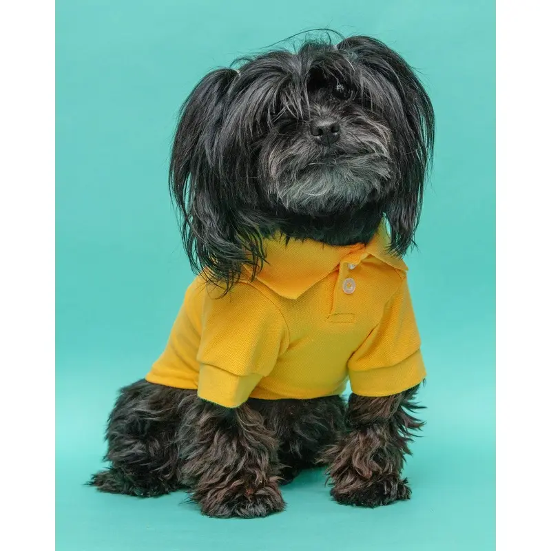 Ray of Sunshine Doggie Polo Shirt << FINAL SALE >>