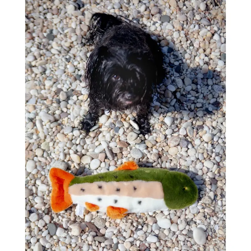 Ruby the Rainbow Trout Plush Dog Toy