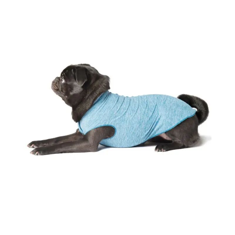 Sun Shield Dog Tee in Ocean Blue (Made in the USA) (FINAL SALE)