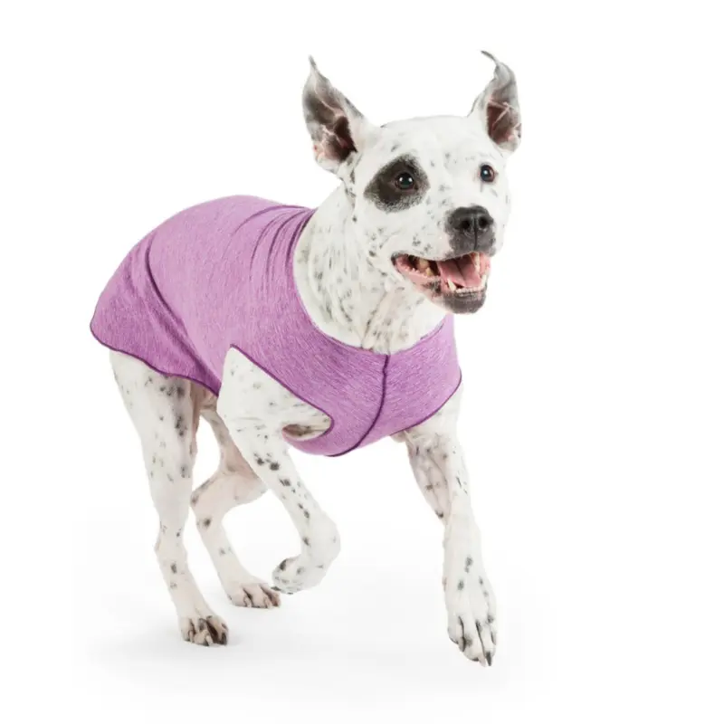 Sun Shield Dog Tee in Violet (Made in the USA) << CLEARANCE >>
