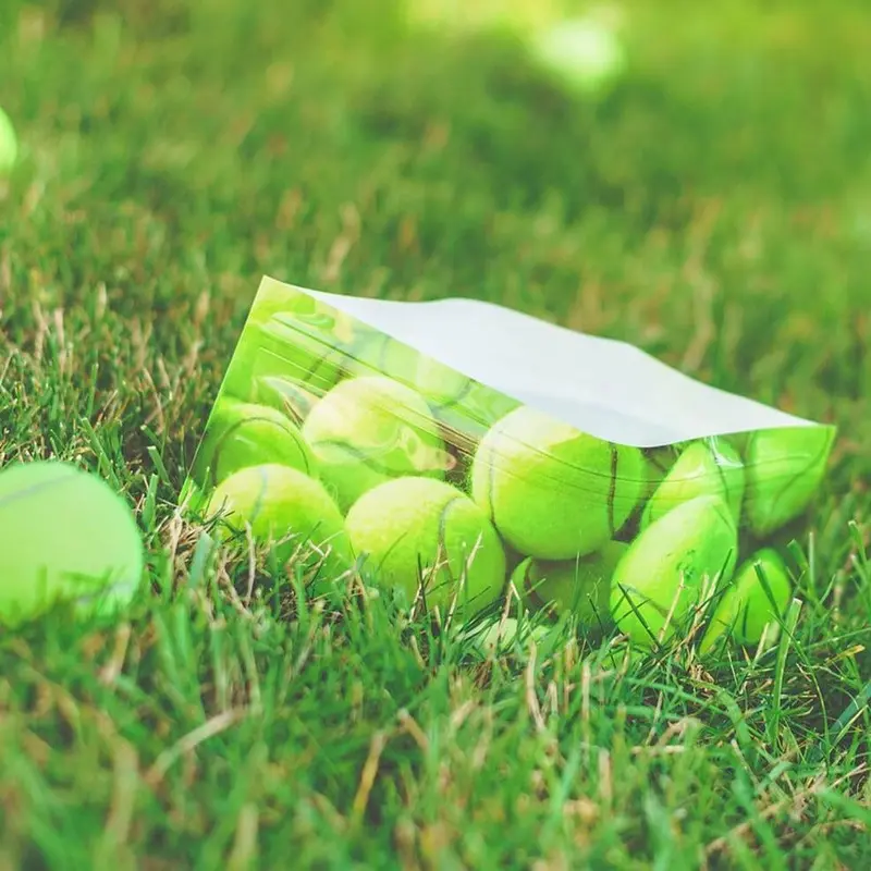 Tennis Ball Dog Water Bowl (Set of 2) << FINAL SALE >>