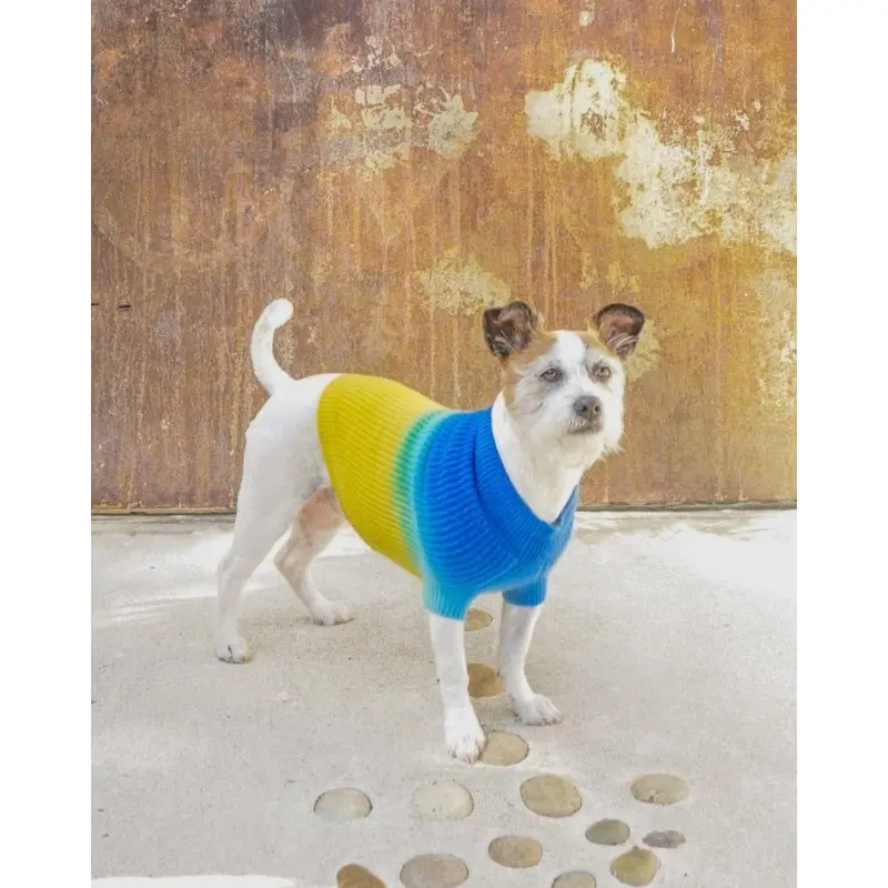 Tie-Dye Cashmere Blend Sweater in Blueberry & Pineapple << FINAL SALE >>