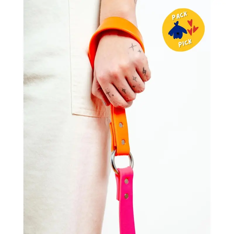 City Leash in Neon Pink & Neon Orange (4 or 6 Foot) (Made in the USA)