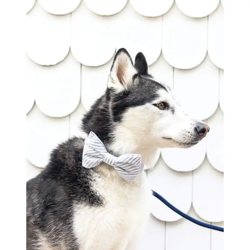 Dusty Blue Stripe Dog Bow Tie (Made in the USA)