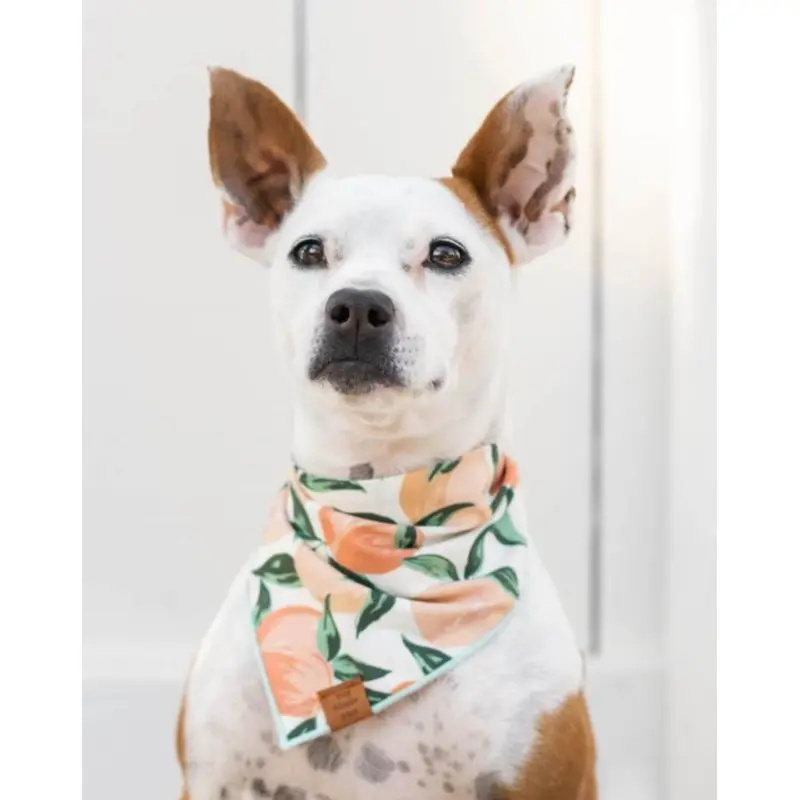 Peaches and Cream Dog Bandana (Made in the USA) (FINAL SALE)