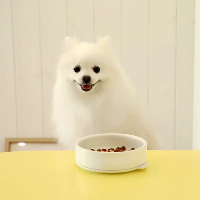 Ceramic & Silicone Pudding Dog Bowl in White (FINAL SALE)