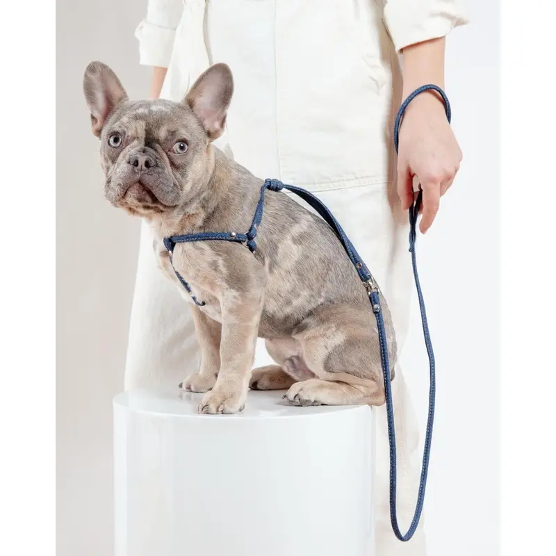 Denim Step-In Adjustable Dog Harness (Made in the USA)