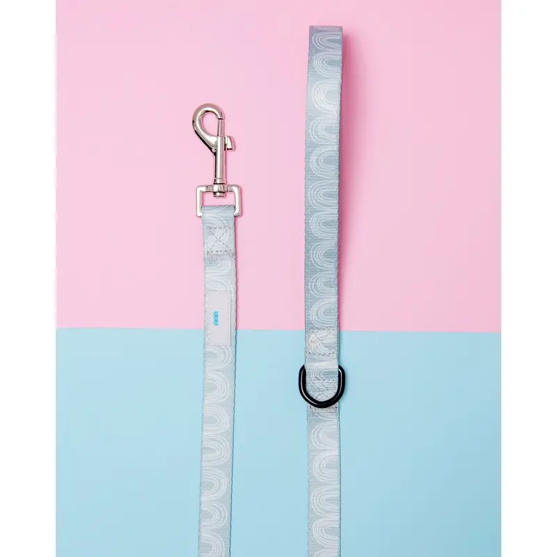 Nylon Dog Lead in Indio Print(FINAL SALE)