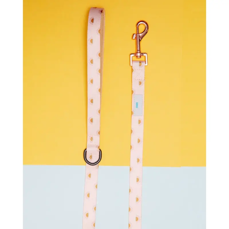 Nylon Dog Lead in Joshua Tree Print