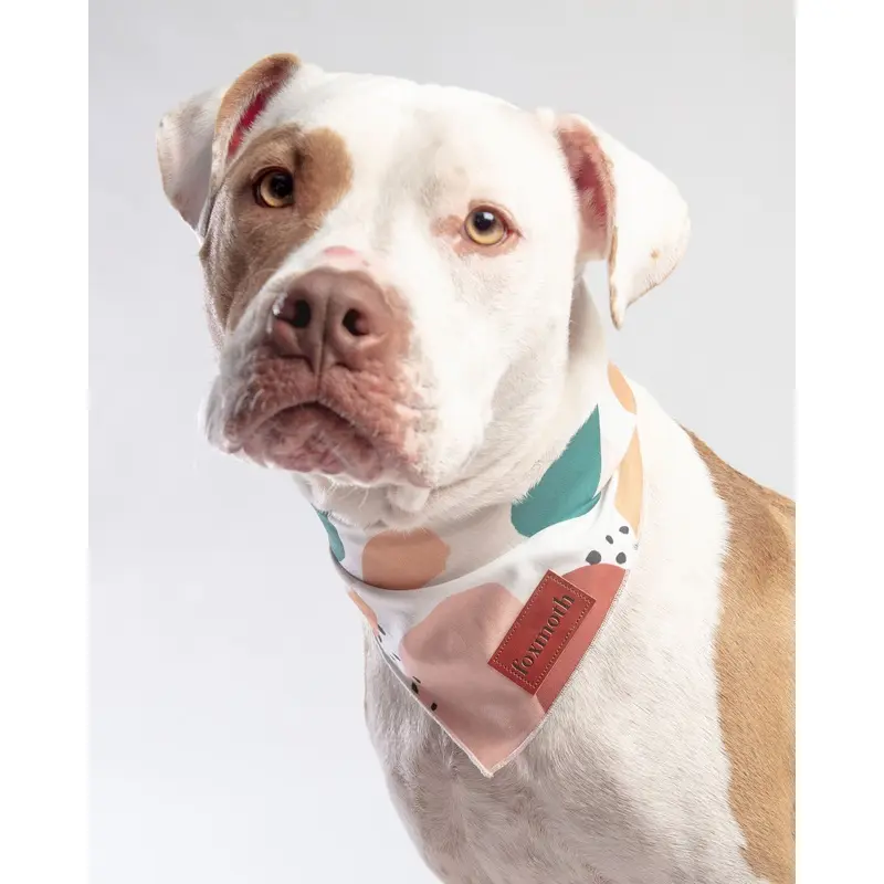 Abstract Boho Print Dog Bandana(FINAL SALE)