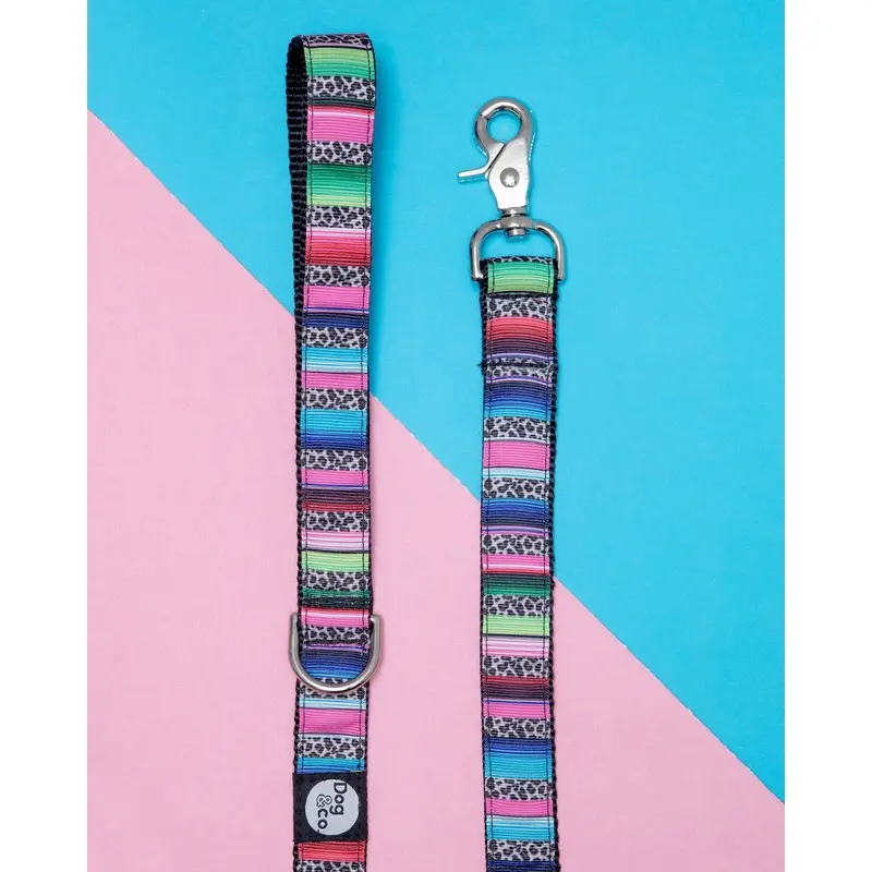 Rainbow Serape + Leopard Dog Leash (Made in NYC)