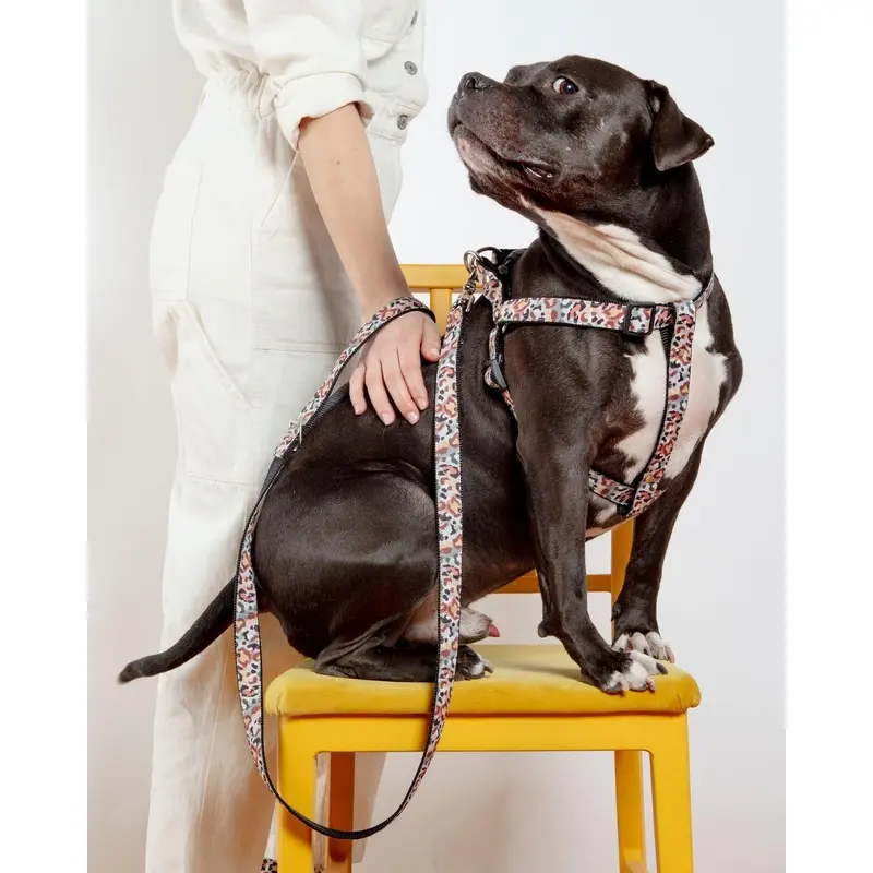 Step-In Dog Harness in Camo Leopard (Made in NYC)