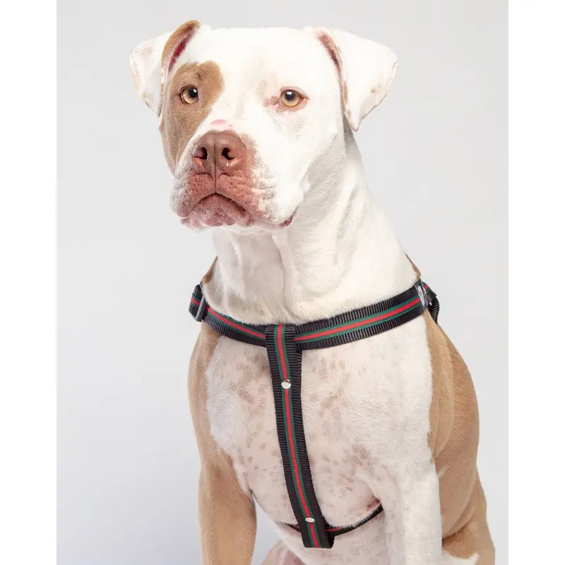 Step-In Dog Harness in Luxe Green & Red Stripe (Made in NYC)
