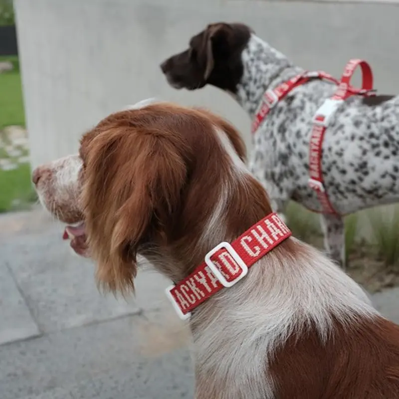 Trip Dog Collar in Red (CLEARANCE)
