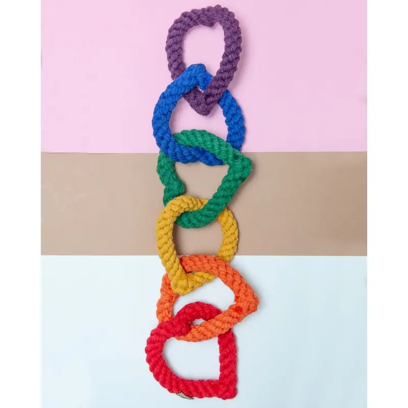 6 Chain Heart Rope Dog Toy in Rainbow