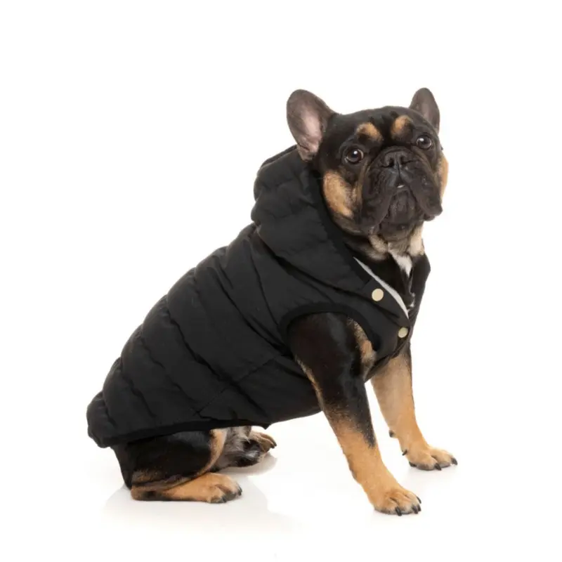 Black Aspen Puffer Dog Jacket  << FINAL SALE >>