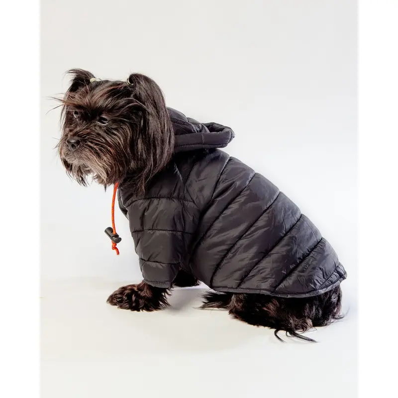 Dog Puffer Jacket in Black << FINAL SALE >>
