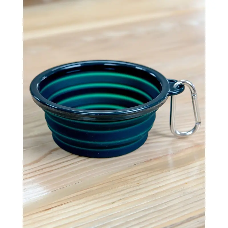 Single Travel Dog Bowl in Forest Green