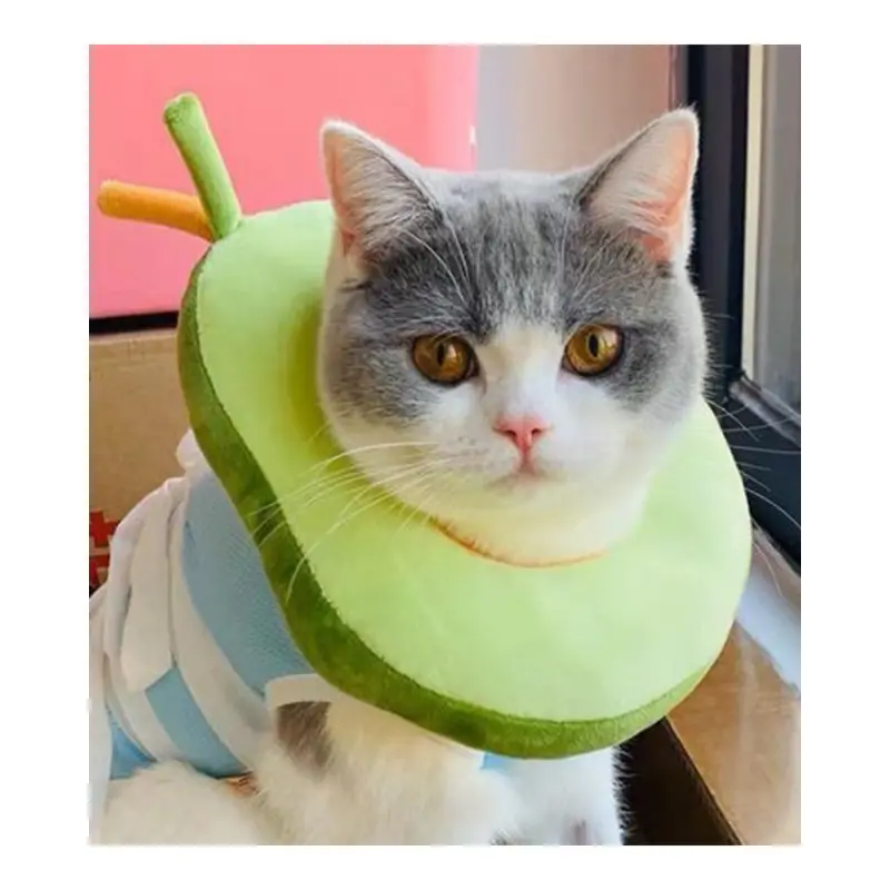 Small Dog & Cat Avocado Cone