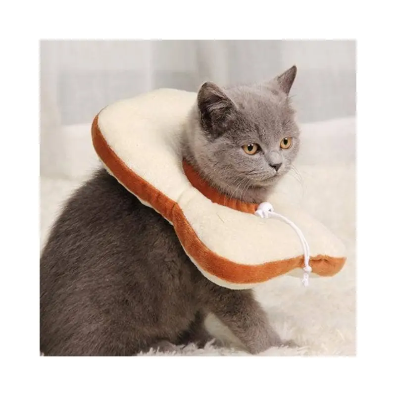 Small Dog or Cat Bread Cone