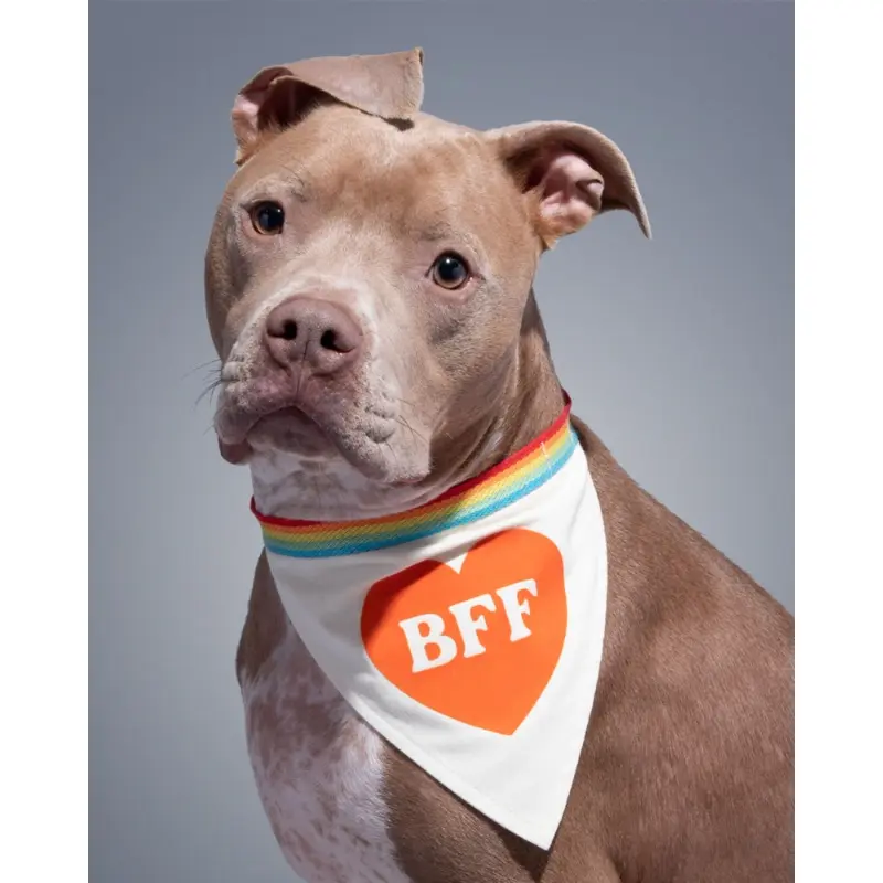 BFF Dog Bandana
