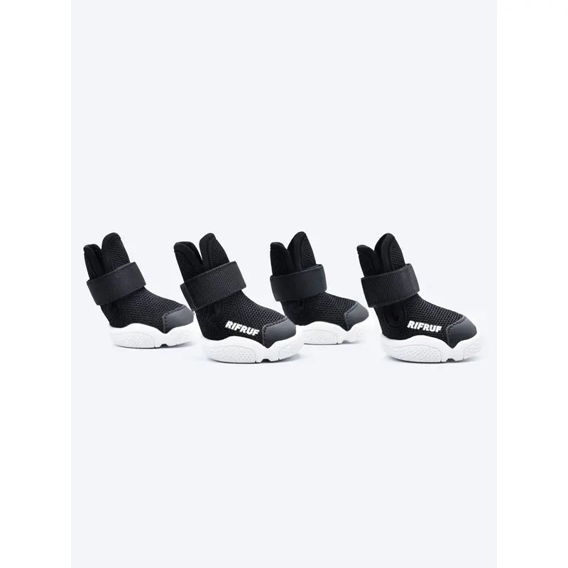 Caesar Dog Sneakers in Black