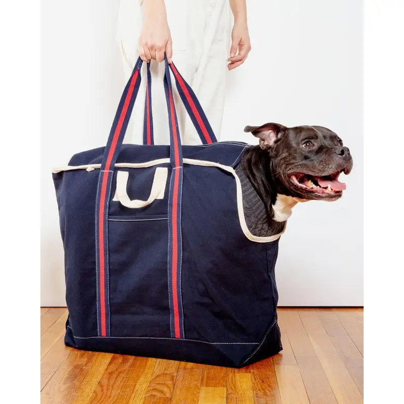 City Carrier Dog Bag in Size 4