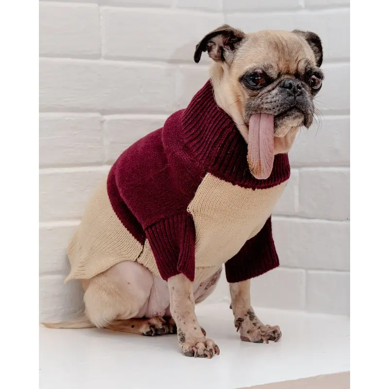 Colorblock Knit Dog Sweater in Burgundy & Beige((FINAL SALE))