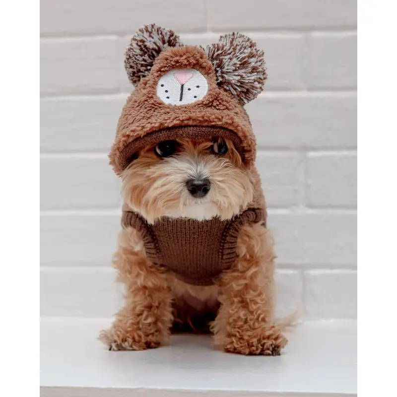 Fuzzy Wuzzy Teddy Bear Dog Hoodie