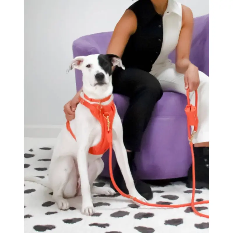 Huggie Dog Harness in Spice(FINAL SALE)