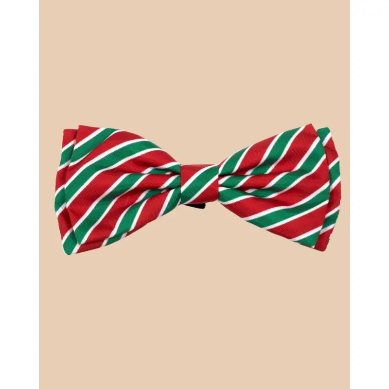 Dignified Dog Bow Tie in Holiday Stripe << FINAL SALE >>