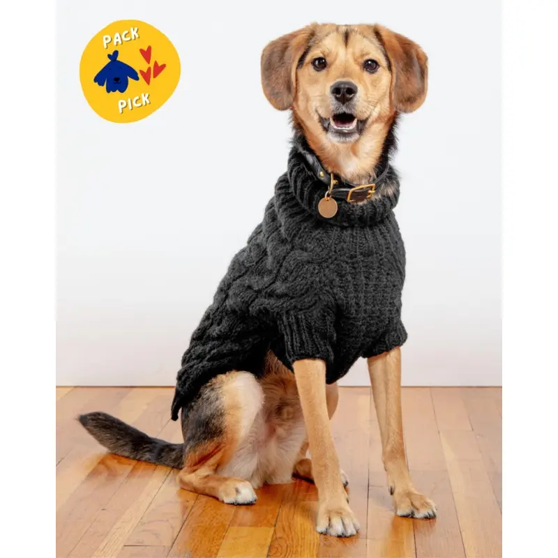 Downtown Roll Neck Dog Sweater in Black (FINAL SALE)