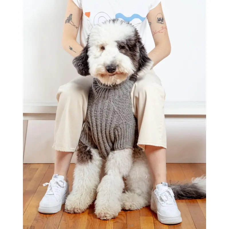 Downtown Roll Neck Dog Sweater in Grey (FINAL SALE) (FW24LO)