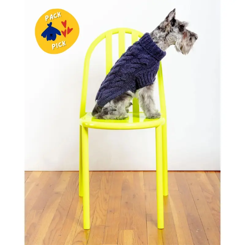 Downtown Roll Neck Dog Sweater in Navy
