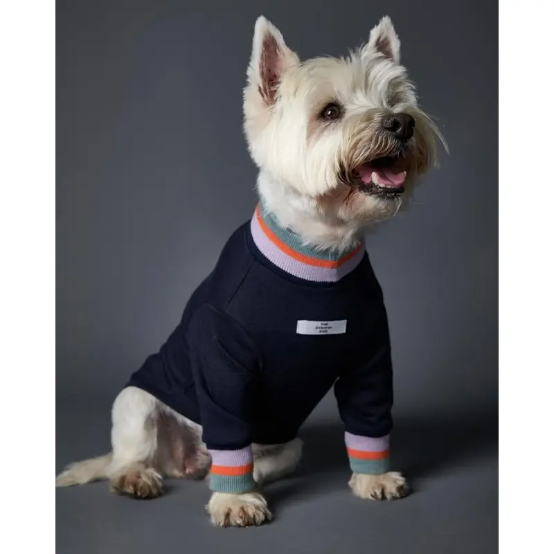 Lakewood Navy Pullover Dog Sweater With Striped Neckline & Cuffs (CLEARANCE)