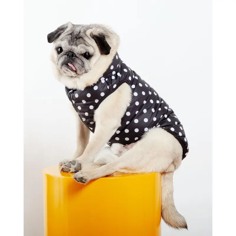 Reversible AiryVest in Black + Black Dot (DOG & CO. Exclusive) (FINAL SALE)