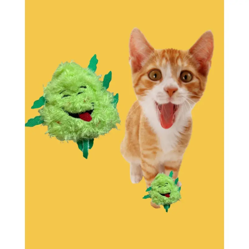 BUD JR. Catnip Cat Toy