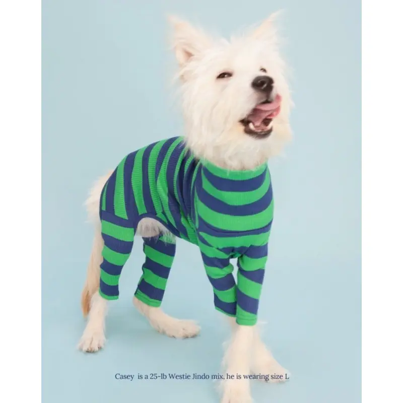 Martian Green + Navy Stripe Ribbed Onesie (FINAL SALE)