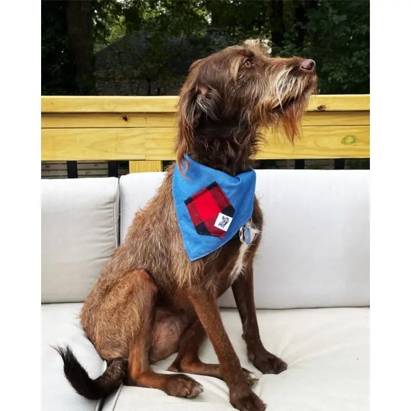 Upcycled Buffalo Plaid Treat Pocket Dog Bandana (Made in the USA)