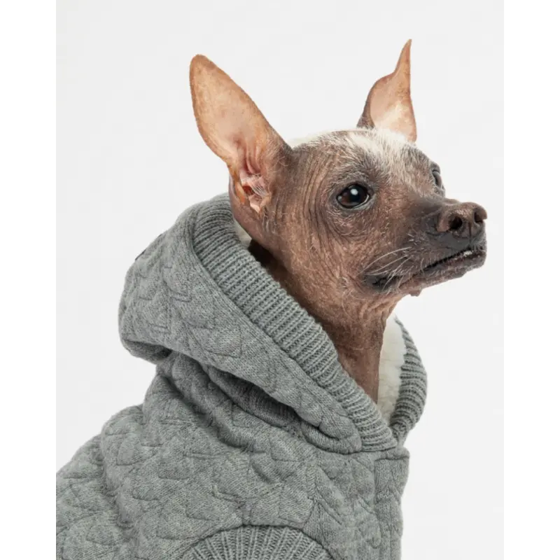 Maxwell Grey Dog Sweater Hoodie((FINAL SALE))