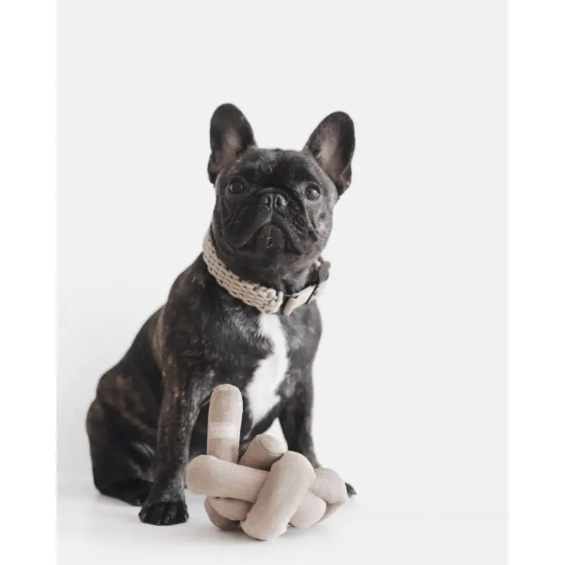 NouNou Interactive Dog Toy in Tan