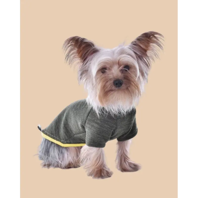 Knit Dog Sweater in Khaki Green w/ Yellow Trim (Made in Spain) (FINAL SALE)