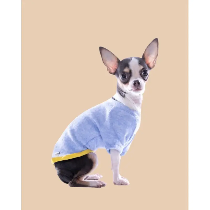 Lightweight Dog T-Shirt in Blue w/ Yellow Trim (Made in Spain) (FINAL SALE)