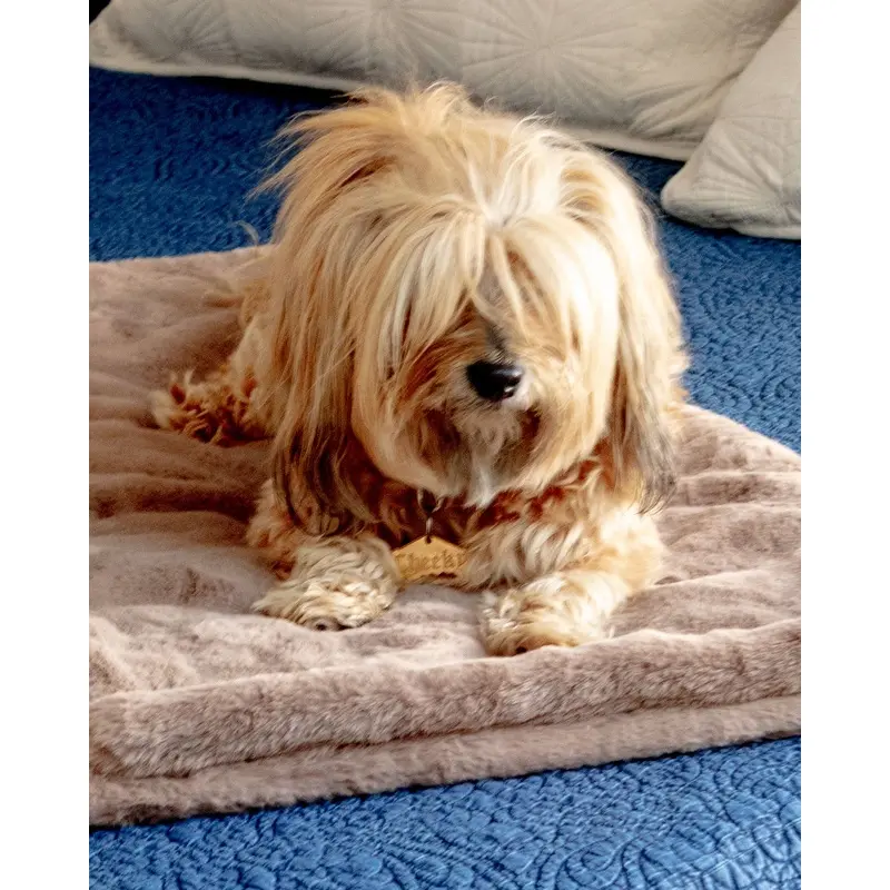 Mini Faux Fur Brady Dog Blanket in Taupe
