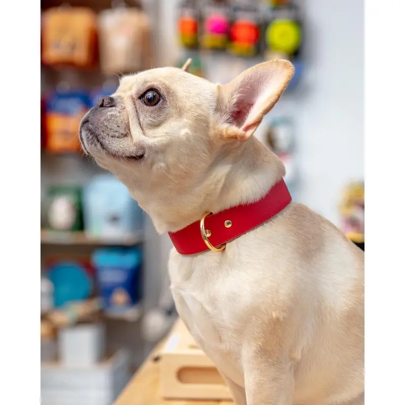 Moni Dog Collar in Red Leather (Made in Italy) (FINAL SALE)