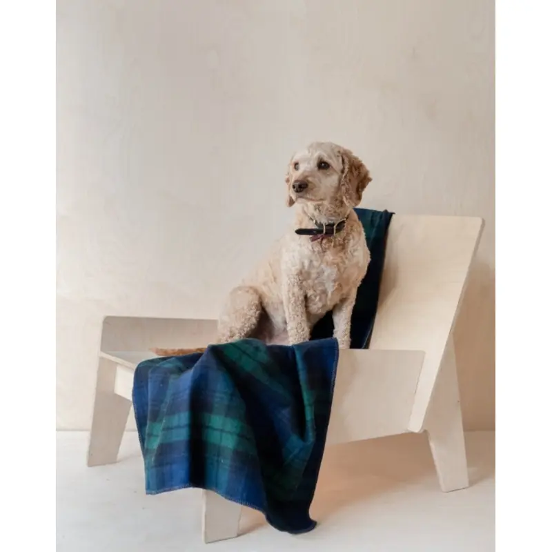 Recycled Wool Pet Blanket in Black Watch Tartan (FINAL SALE)