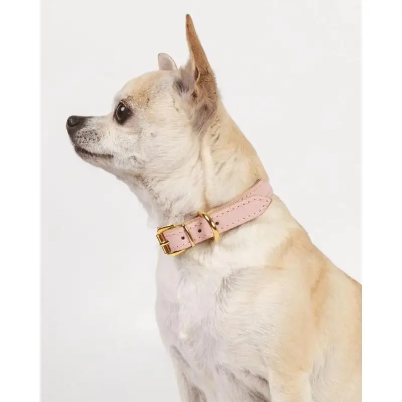 Small Dog Collar in Blush Pink Leather (Made in Italy) (FINAL SALE)