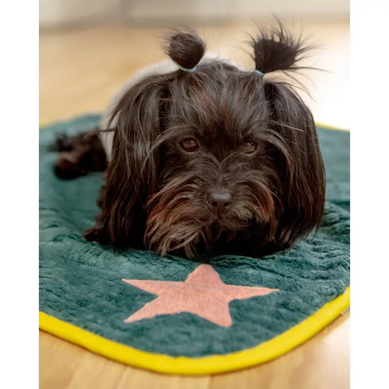 Star Plush Dog Blanket in Green w/ Yellow Trim (Made in Spain)